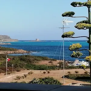 https://la-finestra-sulla-torre.in-sardinia.net